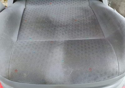 Karpittisztito_demo_1