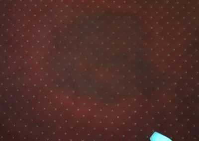 Karpittisztito_demo_2