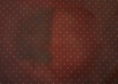 Karpittisztito_demo_2.1