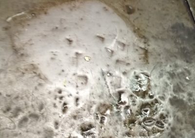 oil_product_demo_2.1